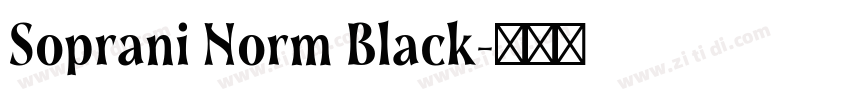 Soprani Norm Black字体转换
